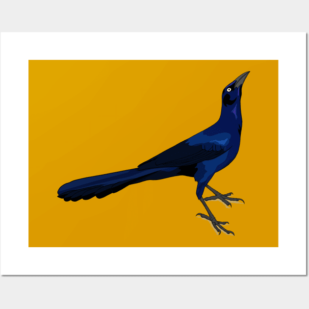 Great-tailed Grackle Wall Art by Feathered Focus